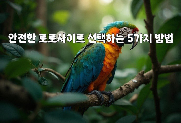 안전한 토토사이트 선택하는 5가지 방법