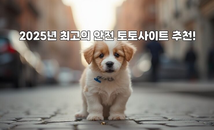 2025년 최고의 안전 토토사이트 추천!
