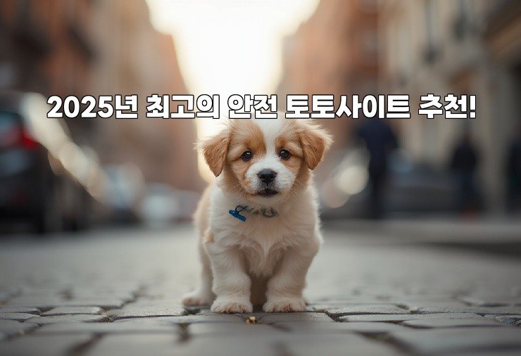 2025년 최고의 안전 토토사이트 추천!