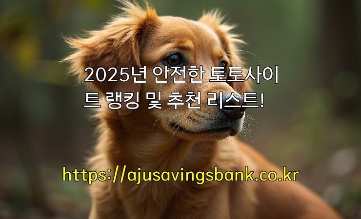 2025년 안전한 토토사이트 랭킹 및 추천 리스트!