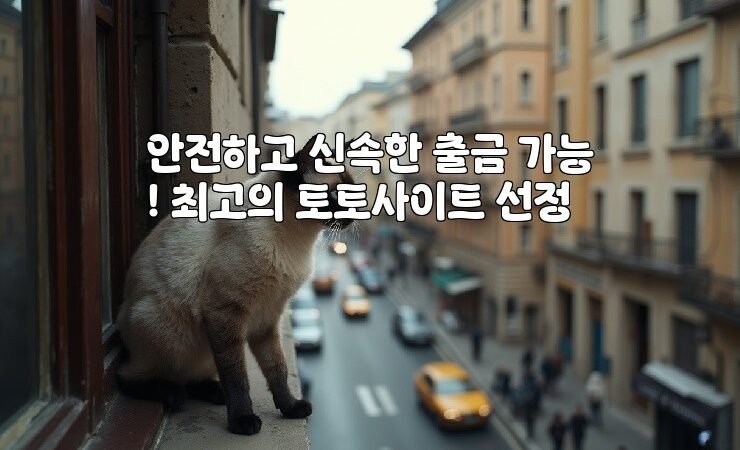 안전하고 신속한 출금 가능! 최고의 토토사이트 선정