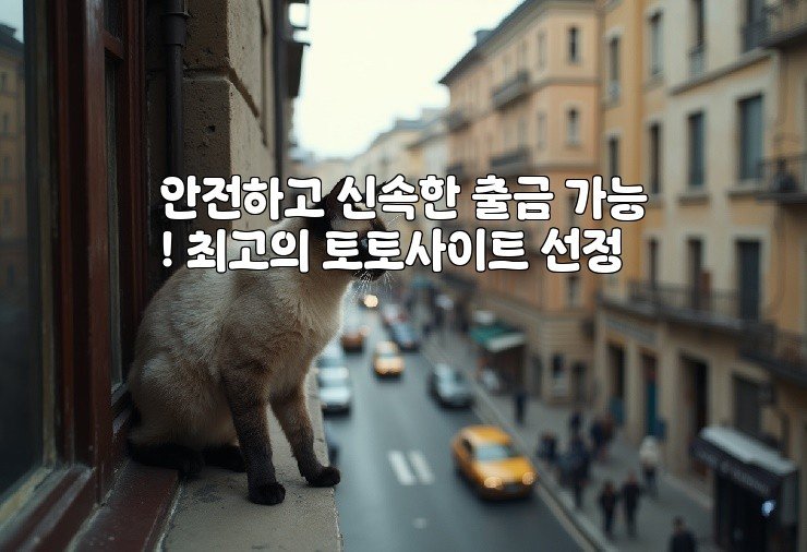 안전하고 신속한 출금 가능! 최고의 토토사이트 선정