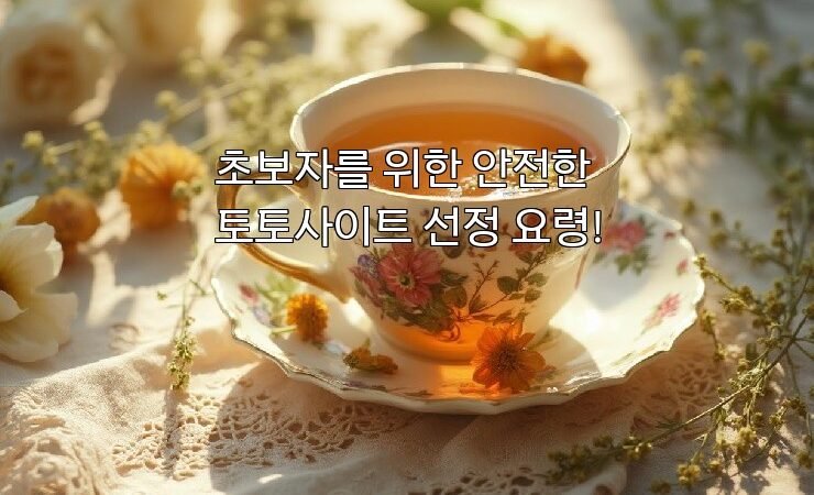 초보자를 위한 안전한 토토사이트 선정 요령!