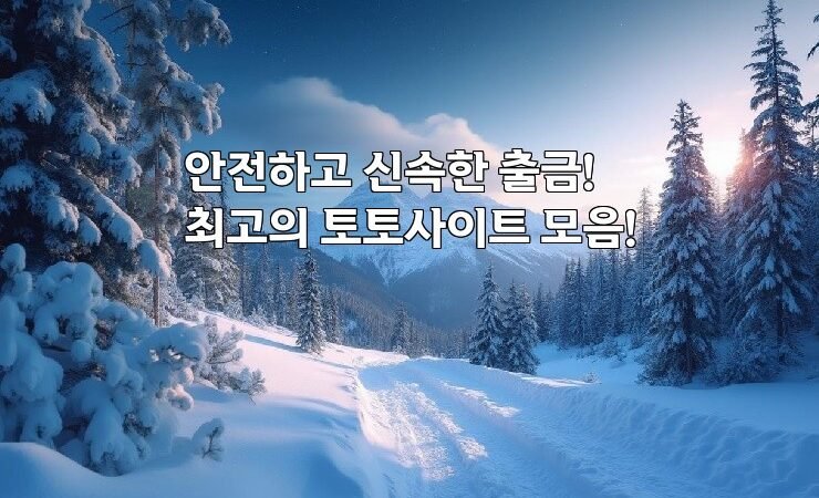 안전하고 신속한 출금! 최고의 토토사이트 모음!