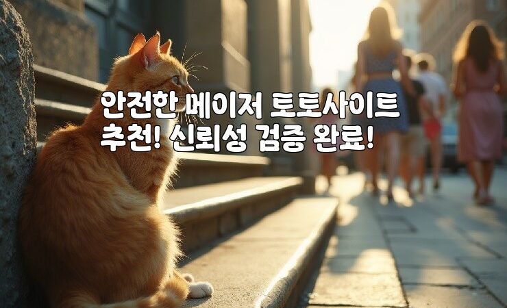 안전한 메이저 토토사이트 추천! 신뢰성 검증 완료!