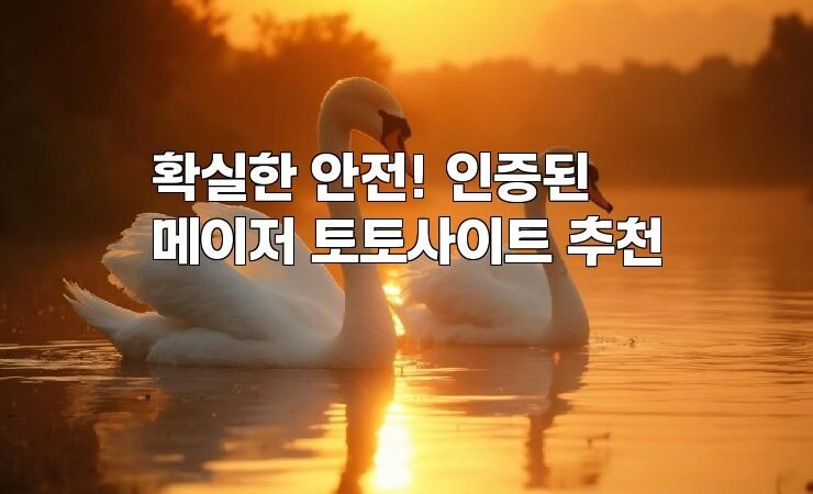 확실한 안전! 인증된 메이저 토토사이트 추천