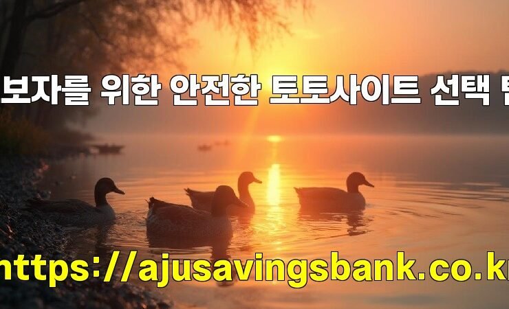 초보자를 위한 안전한 토토사이트 선택 팁!