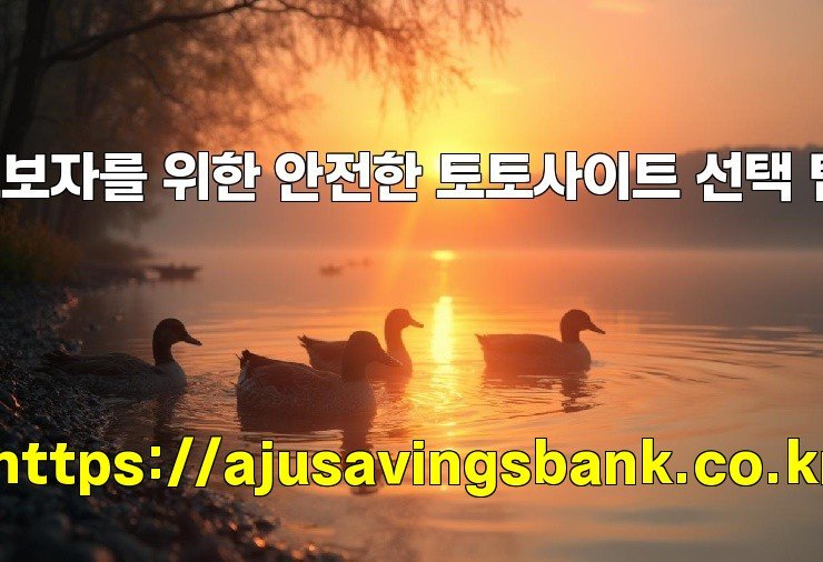 초보자를 위한 안전한 토토사이트 선택 팁!