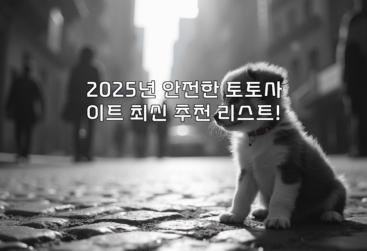 2025년 안전한 토토사이트 최신 추천 리스트!
