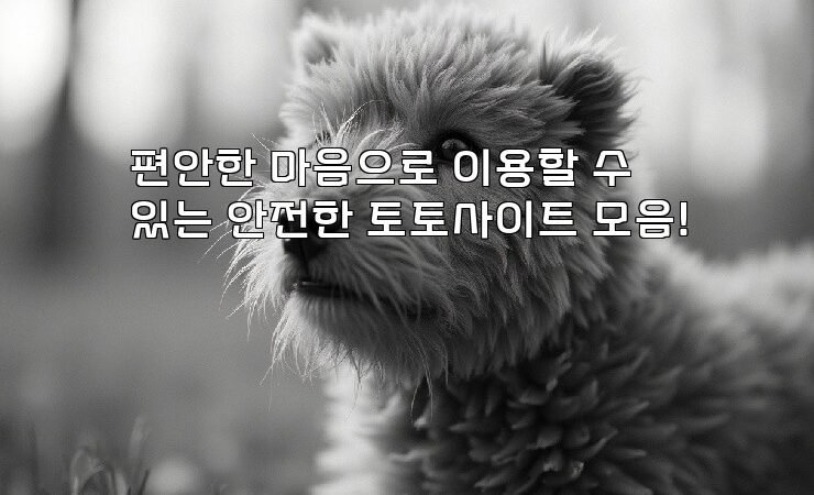 편안한 마음으로 이용할 수 있는 안전한 토토사이트 모음!