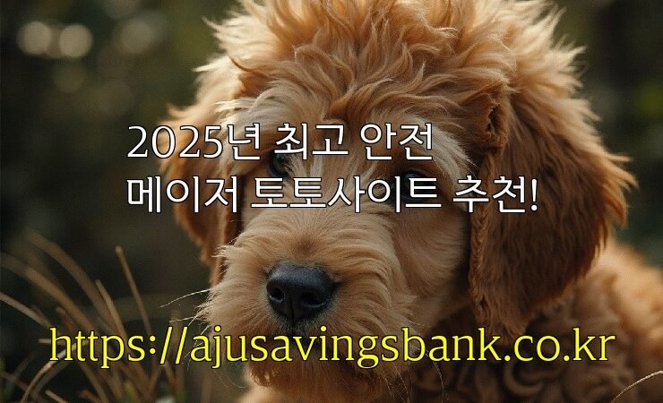 2025년 최고 안전 메이저 토토사이트 추천!