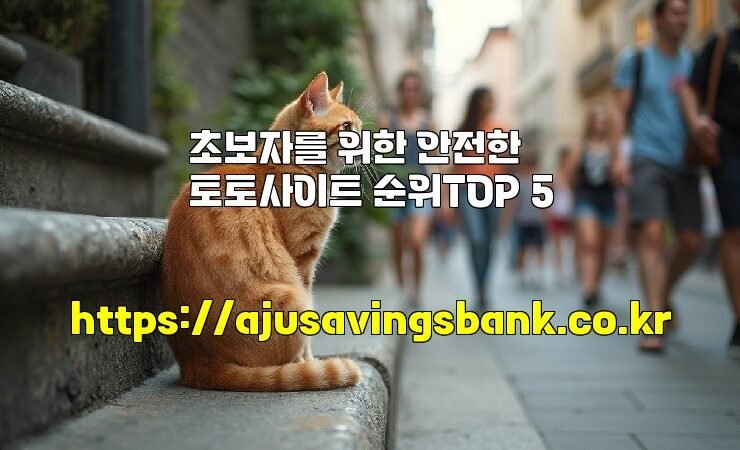 초보자를 위한 안전한 토토사이트 순위TOP 5