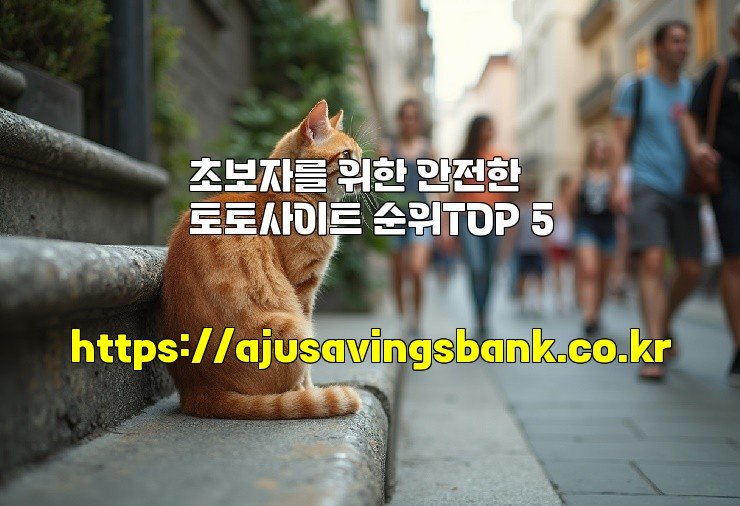 초보자를 위한 안전한 토토사이트 순위TOP 5