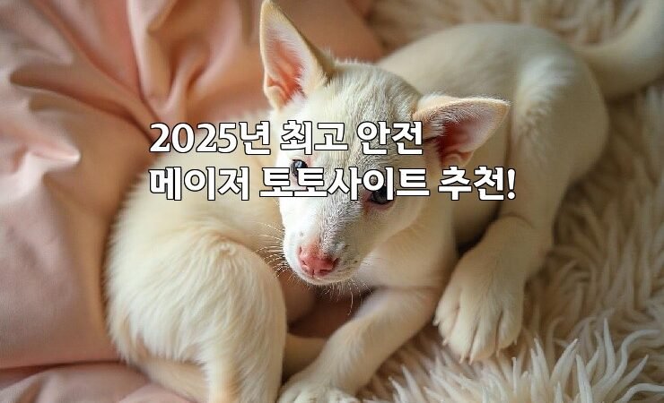 2025년 최고 안전 메이저 토토사이트 추천!