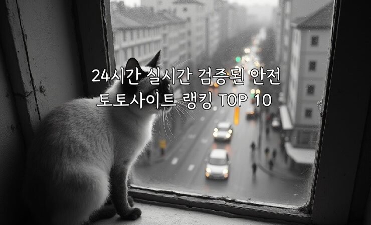24시간 실시간 검증된 안전 토토사이트 랭킹 TOP 10