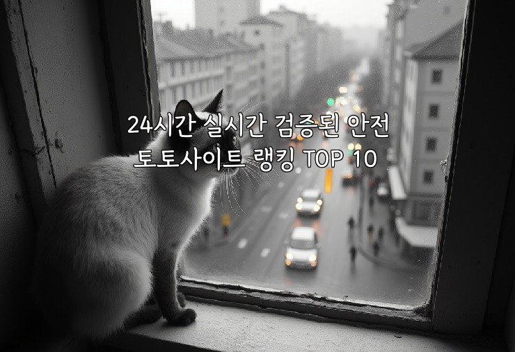 24시간 실시간 검증된 안전 토토사이트 랭킹 TOP 10