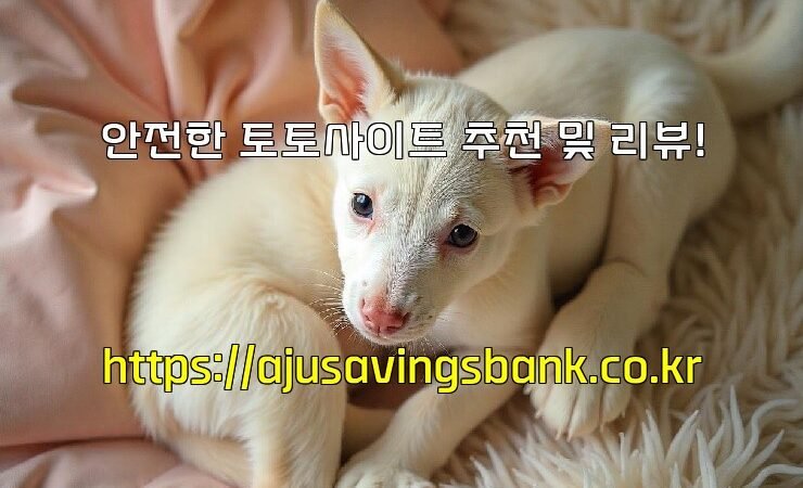 안전한 토토사이트 추천 및 리뷰!