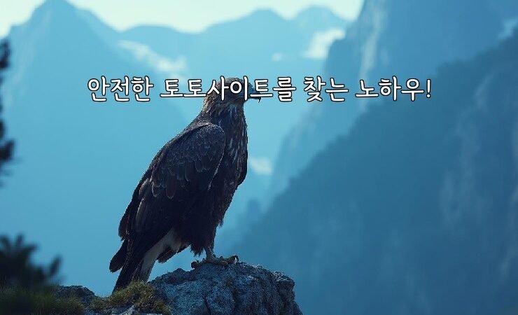 안전한 토토사이트를 찾는 노하우!