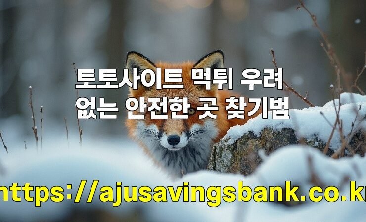 토토사이트 먹튀 우려 없는 안전한 곳 찾기법