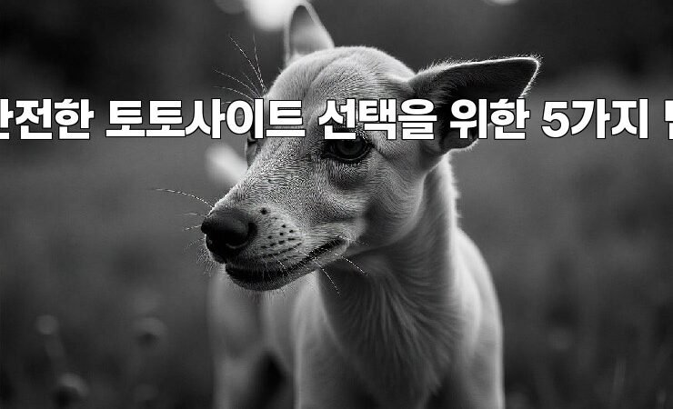 안전한 토토사이트 선택을 위한 5가지 팁