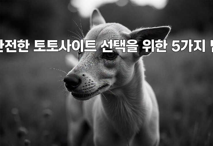 안전한 토토사이트 선택을 위한 5가지 팁