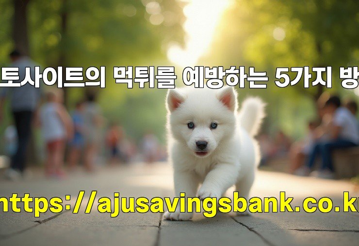 토토사이트의 먹튀를 예방하는 5가지 방법