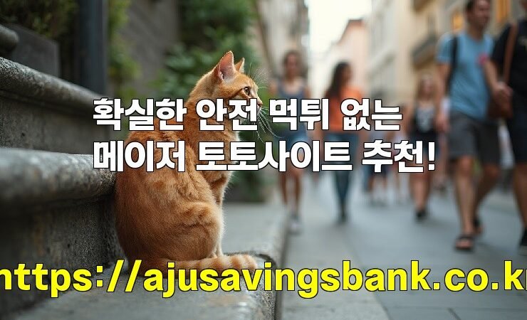 확실한 안전 먹튀 없는 메이저 토토사이트 추천!