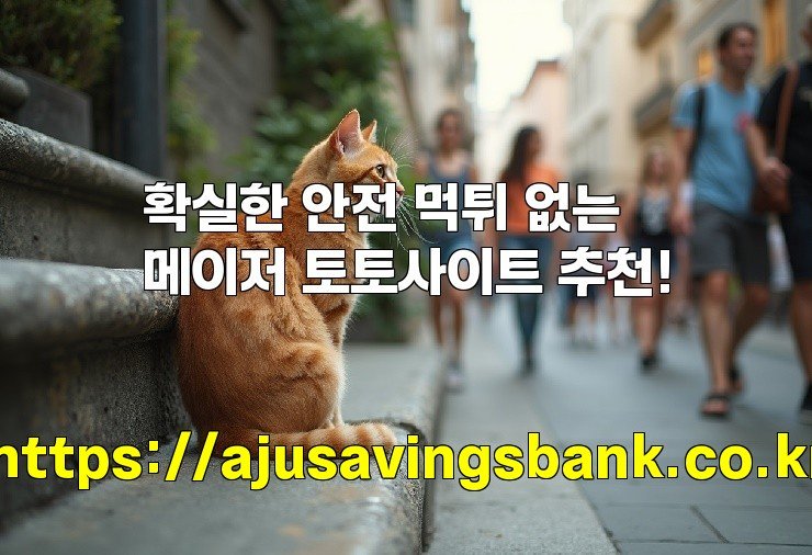 확실한 안전 먹튀 없는 메이저 토토사이트 추천!