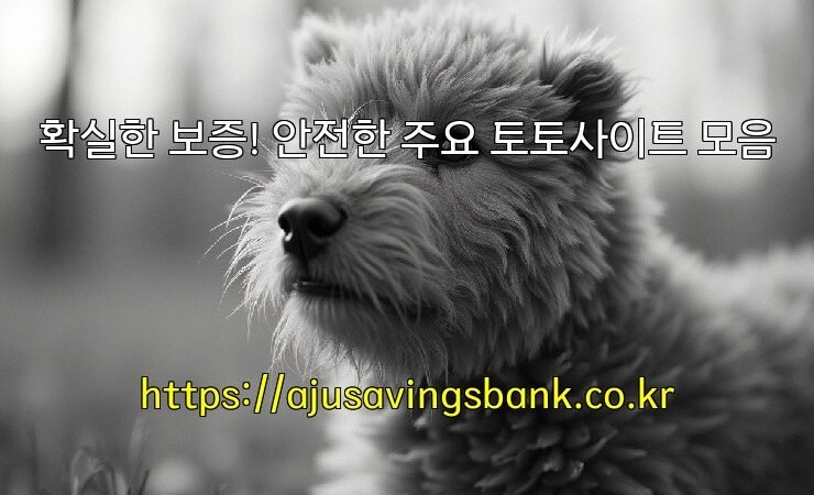 확실한 보증! 안전한 주요 토토사이트 모음