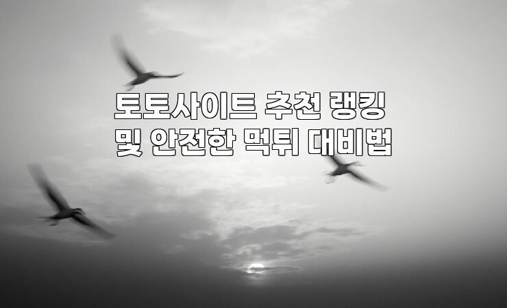 토토사이트 추천 랭킹 및 안전한 먹튀 대비법