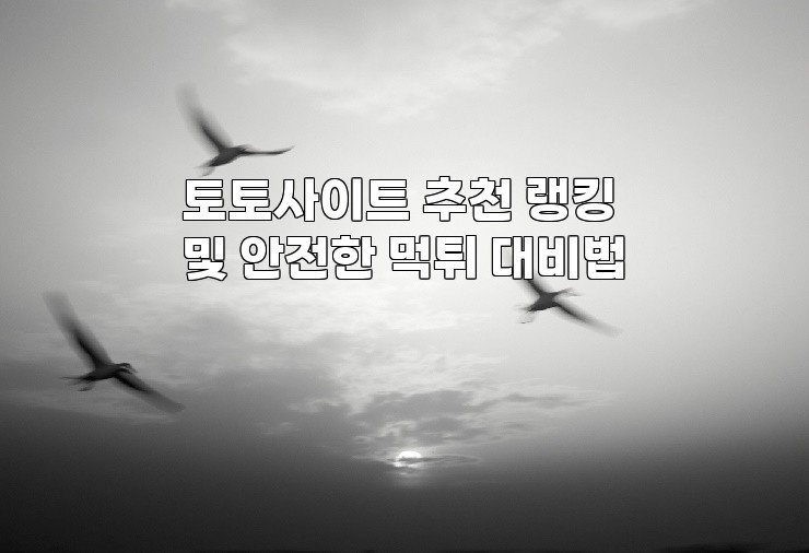 토토사이트 추천 랭킹 및 안전한 먹튀 대비법