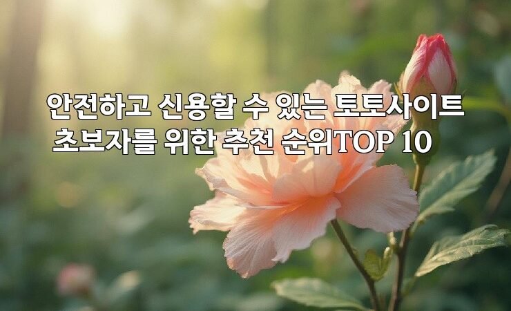 안전하고 신용할 수 있는 토토사이트 초보자를 위한 추천 순위TOP 10