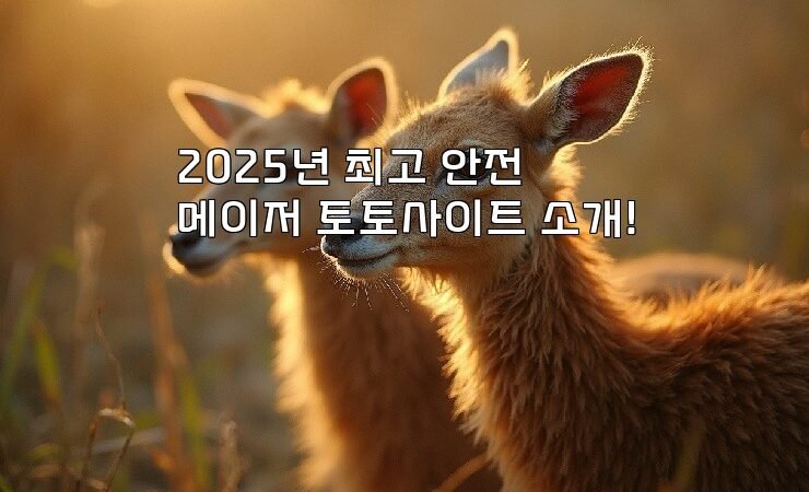 2025년 최고 안전 메이저 토토사이트 소개!