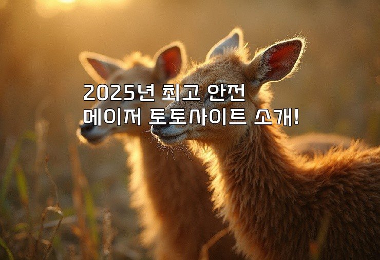 2025년 최고 안전 메이저 토토사이트 소개!