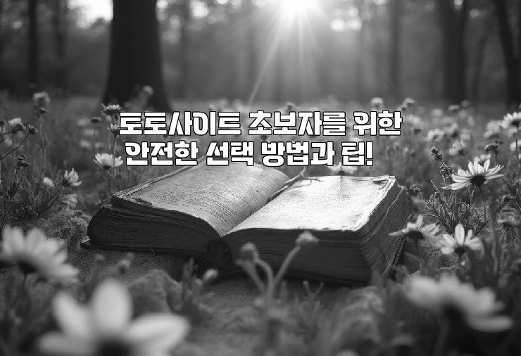 토토사이트 초보자를 위한 안전한 선택 방법과 팁!
