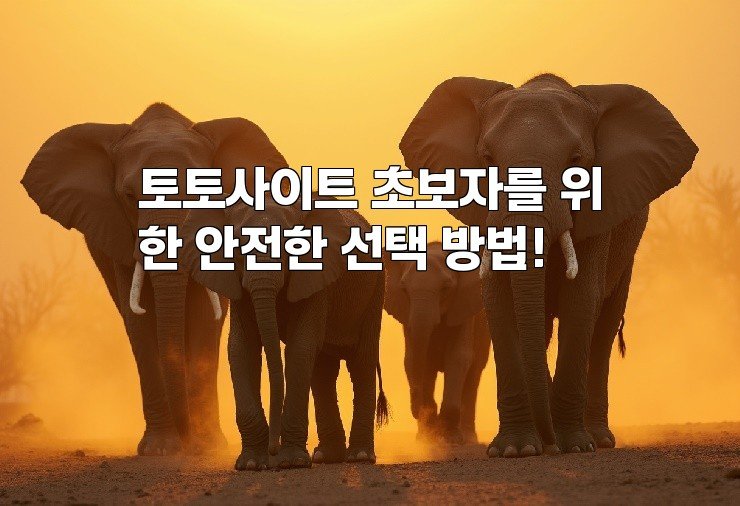 토토사이트 초보자를 위한 안전한 선택 방법!