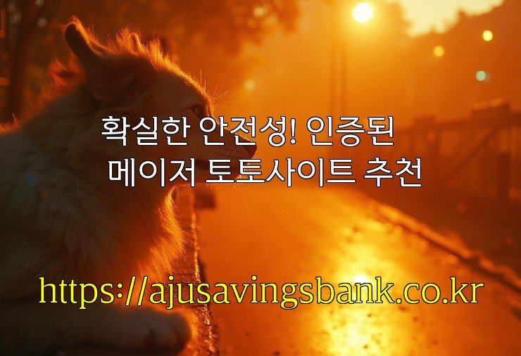 확실한 안전성! 인증된 메이저 토토사이트 추천
