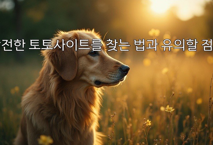 안전한 토토사이트를 찾는 법과 유의할 점들