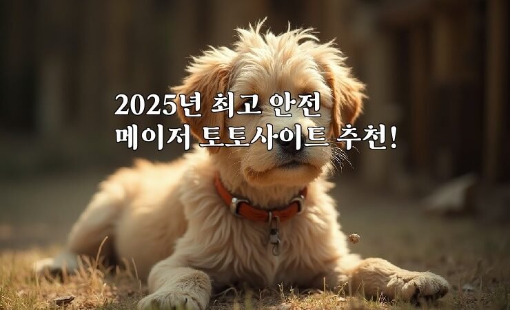 2025년 최고 안전 메이저 토토사이트 추천!