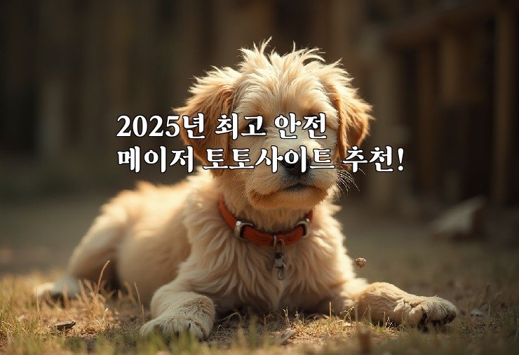 2025년 최고 안전 메이저 토토사이트 추천!