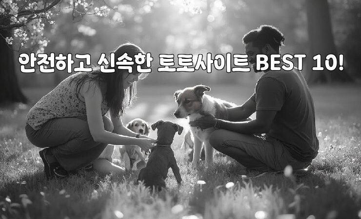 안전하고 신속한 토토사이트 BEST 10!