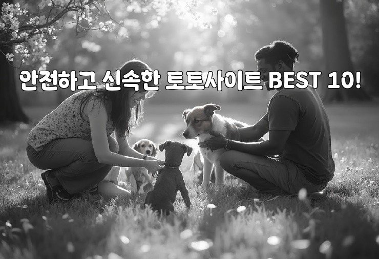 안전하고 신속한 토토사이트 BEST 10!