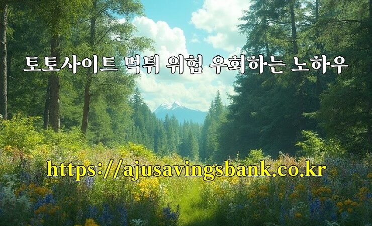 토토사이트 먹튀 위험 우회하는 노하우
