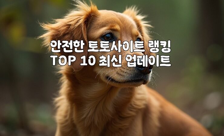 안전한 토토사이트 랭킹 TOP 10 최신 업데이트