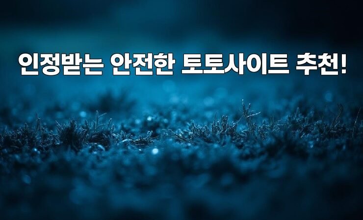 인정받는 안전한 토토사이트 추천!