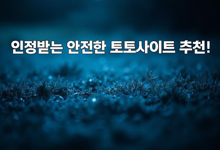 인정받는 안전한 토토사이트 추천!