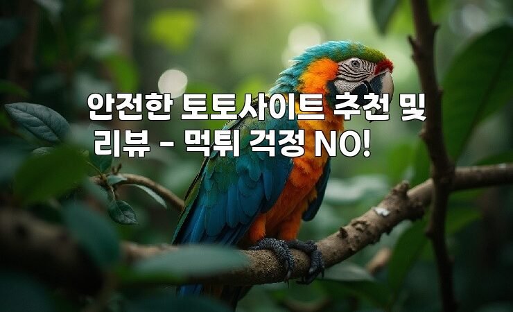 안전한 토토사이트 추천 및 리뷰 – 먹튀 걱정 NO!