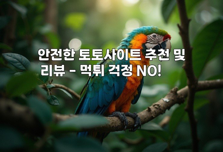 안전한 토토사이트 추천 및 리뷰 – 먹튀 걱정 NO!