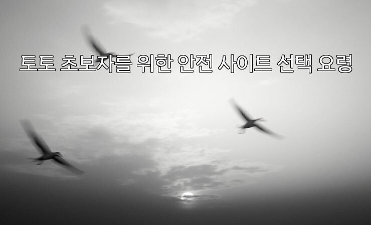 토토 초보자를 위한 안전 사이트 선택 요령