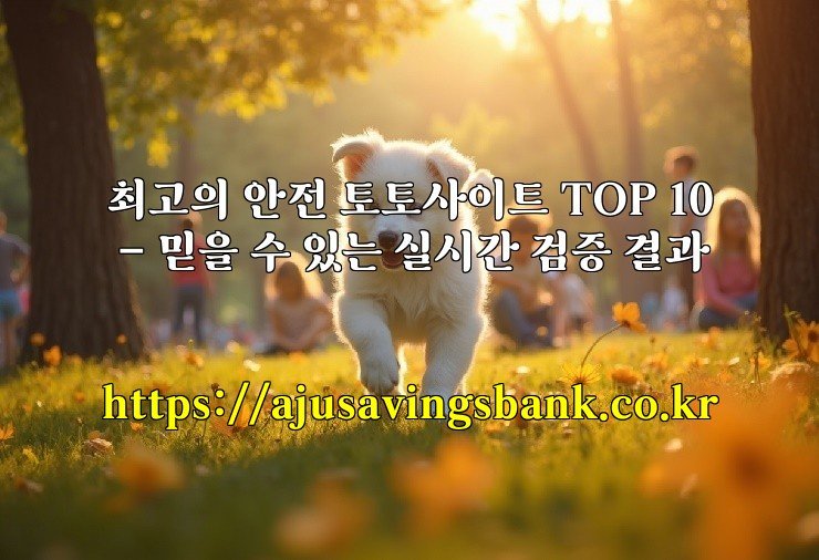 최고의 안전 토토사이트 TOP 10 - 믿을 수 있는 실시간 검증 결과